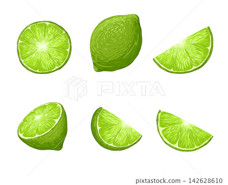 Limes vector cartoon illustration set. Realistic tropical fruit. Green citrus. Whole, half, cut slice lime fruits isolated on white background. Organic fruits for lemonade, healthy food. Limes vector cartoon illustration set. Realistic tropical fruit. Green citrus. Whole, half, cut slice lime fruits isolated on white background. Organic fruits for lemonade, healthy food. 142628610