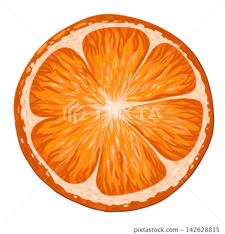 Orange circle clip art. Organic fruit for juice or vitamin C healthy food. Vector illustration isolated on white background. Orange circle clip art. Organic fruit for juice or vitamin C healthy food. Vector illustration isolated on white background. 142628815