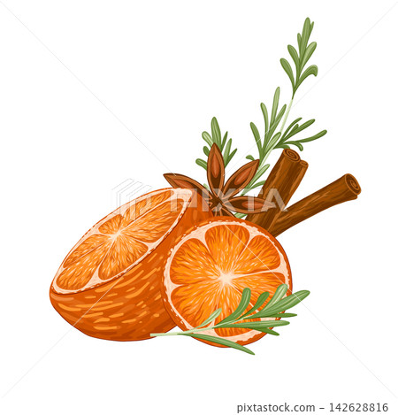 Star anise, cinnamon rolls, rosemary and orange composition. Christmas illustration hand draw vector. Isolated on white background. Winter spices. 142628816
