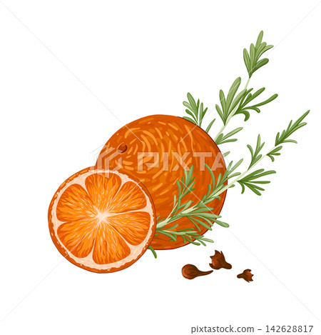 Oranges, cloves, rosemary composition. Christmas illustration hand draw vector. Isolated on white background. Winter spices. 142628817