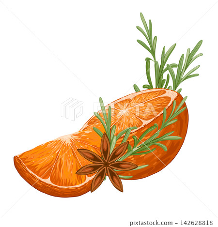 Star anise, rosemary and orange composition. Christmas illustration hand draw vector. Isolated on white background. Winter spices. Star anise, rosemary and orange composition. Christmas illustration hand draw vector. Isolated on white background. Winter spices. 142628818
