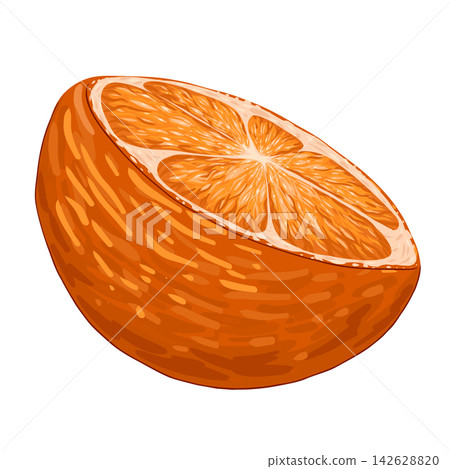 Chopped orange clip art. Organic fruit for juice or vitamin C healthy food. Vector illustration isolated on white background. Chopped orange clip art. Organic fruit for juice or vitamin C healthy food. Vector illustration isolated on white background. 142628820
