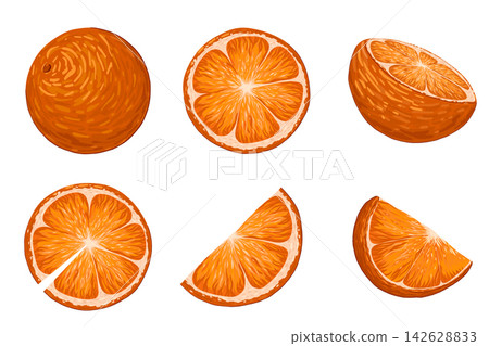 Oranges vector cartoon illustration set. Hand drawn tropical fruit. Whole, half, cut, slice orange fruits isolated on white background. Organic citrus for lemonade, juice, healthy food Oranges vector cartoon illustration set. Hand drawn tropical fruit. Whole, half, cut, slice orange fruits isolated on white background. Organic citrus for lemonade, juice, healthy food 142628833