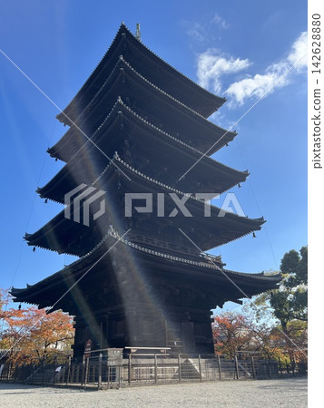 京都東寺的五層寶塔 京都東寺的五層寶塔 142628880