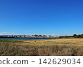 淀川河床（大阪） 142629034