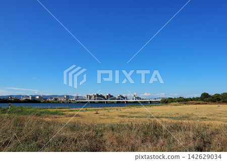 淀川河床(大阪) 淀川河床(大阪) 142629034