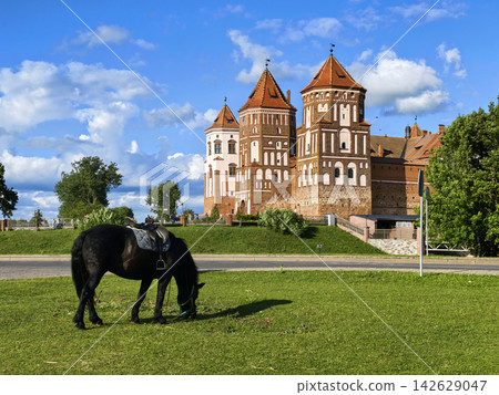 A black horse grazes on the lawn in front of Mir Castle. Republic of Belarus. A black horse grazes on the lawn in front of Mir Castle. Republic of Belarus. 142629047