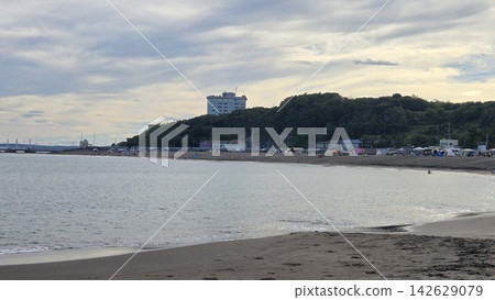夏日清晨的海與沙灘 夏日清晨的海與沙灘 142629079