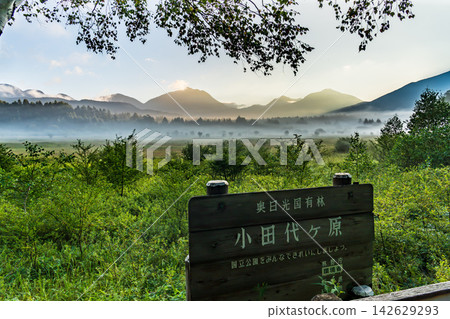 初秋時節,奧日光小田代原的日出和晨霧籠罩下的雲層。 初秋時節,奧日光小田代原的日出和晨霧籠罩下的雲層。 142629293