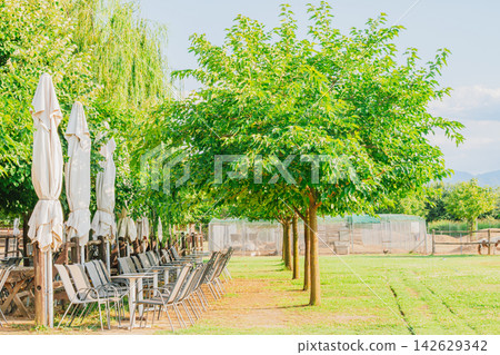 Outdoor seating area with wooden chairs and tables under large green trees, featuring white umbrellas for shade in a sunny garden setting Outdoor seating area with wooden chairs and tables under large green trees, featuring white umbrellas for shade in a sunny garden setting 142629342