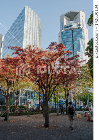 大阪梅田的秋景 大阪梅田的秋景 142630134
