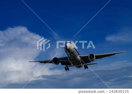 噴射客機進場著陸 噴射客機進場著陸 142630135