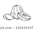whole quince fruit with slices and half sections hand drawn black ink vector illustration. Monochrome fruit sketch for autumn menu, healthy food poster, and preserved fruit design. 142630147
