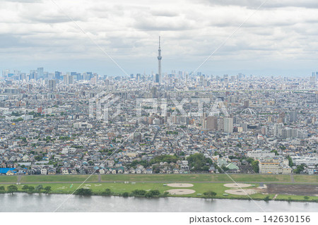 View of Tokyo Skytree and the Edogawa River embankment from the I-Link Town observation deck [Ichikawa-Minami, Ichikawa City, Chiba Prefecture] 142630156
