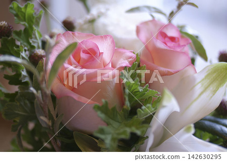 生日禮物花束中的玫瑰 生日禮物花束中的玫瑰 142630295