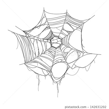 Halloween cartoon tangled cobweb or spiderweb texture. Autumn celebration hanging spiderweb decoration, fall season holiday spooky spider web vector net. Horror party scary cobweb trap decor element Halloween cartoon tangled cobweb or spiderweb texture. Autumn celebration hanging spiderweb decoration, fall season holiday spooky spider web vector net. Horror party scary cobweb trap decor element 142631202