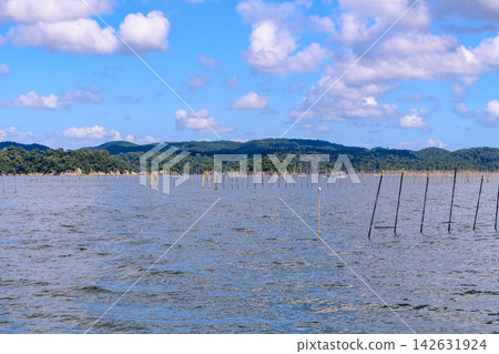 宮城縣:松島灣及浦戶群島週邊航線 宮城縣:松島灣及浦戶群島週邊航線 142631924