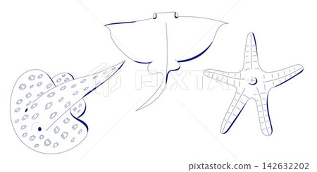 Set line water animals, starfish, stingray. Element for design, line art, sketch, doodle vector isolated Set line water animals, starfish, stingray. Element for design, line art, sketch, doodle vector isolated 142632202