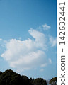 White clouds and green trees floating in a blue sky White clouds and green trees floating in a blue sky 142632441