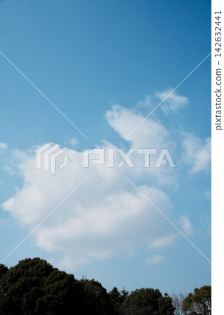 白雲綠樹漂浮在藍天之上 白雲綠樹漂浮在藍天之上 142632441