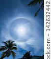 A mystical halo (sun halo) and palm trees appearing in the blue sky of a tropical paradise. A mystical halo (sun halo) and palm trees appearing in the blue sky of a tropical paradise. 142632442