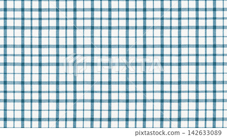 White cotton fabric texture with blue checkered pattern close up White cotton fabric texture with blue checkered pattern close up 142633089