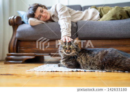 Young woman gently pets beloved cat at home, finding comfort through affection and tactile contact Young woman gently pets beloved cat at home, finding comfort through affection and tactile contact 142633180