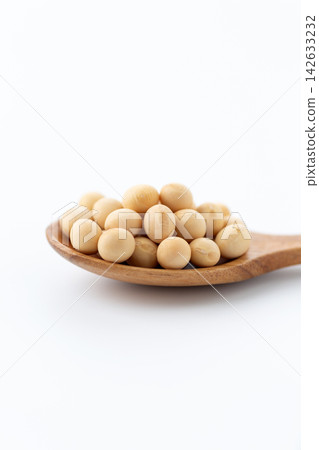 大豆白背 大豆白背 142633232
