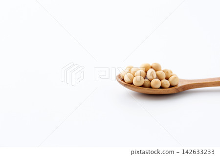 大豆白背 大豆白背 142633233