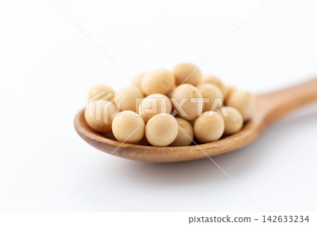大豆白背 大豆白背 142633234