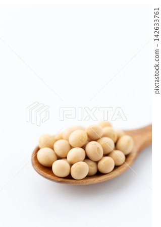 大豆白背 大豆白背 142633761