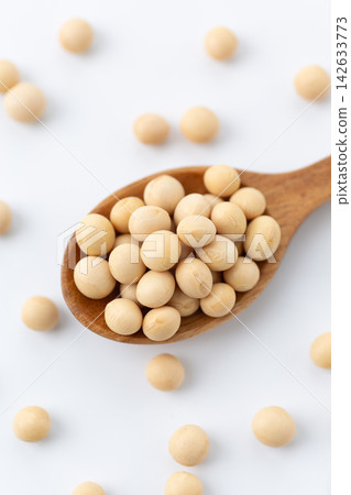 Soybean white back Soybean white back 142633773