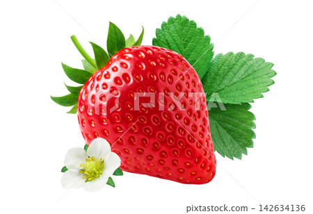 Strawberry illustration, Amaou strawberry, realistic strawberry Strawberry illustration, Amaou strawberry, realistic strawberry 142634136