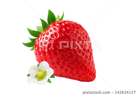 Strawberry illustration, Amaou strawberry, realistic strawberry Strawberry illustration, Amaou strawberry, realistic strawberry 142634137
