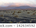 Volcanic lava field and mist covered cones on Lanzarote 142634592