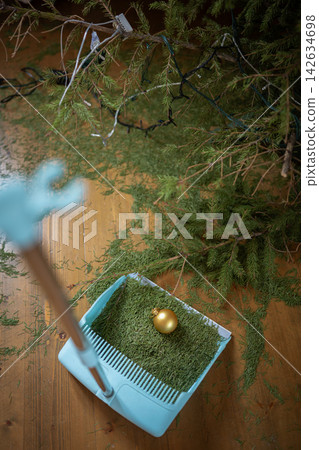 Mess from shedding natural Christmas tree after holidays Mess from shedding natural Christmas tree after holidays 142634698