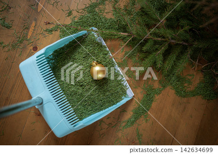Cleaning fallen needles after decorating Christmas tree Cleaning fallen needles after decorating Christmas tree 142634699