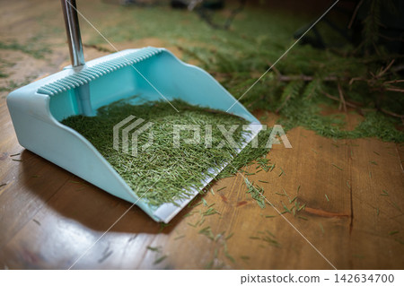 Dustpan with fallen needles from natural Christmas tree Dustpan with fallen needles from natural Christmas tree 142634700