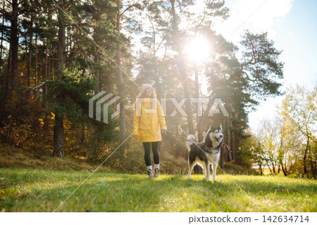 Woman with her husky dog walks in autumn forest. A cheerful pet spends time with its owner outdoors. Woman with her husky dog walks in autumn forest. A cheerful pet spends time with its owner outdoors. 142634714