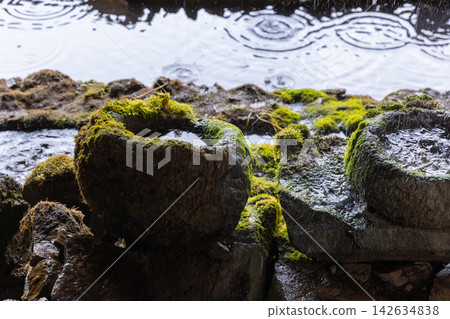 Moss-covered stone basins and wet rocks sit at the edge of a rainy pond Moss-covered stone basins and wet rocks sit at the edge of a rainy pond 142634838