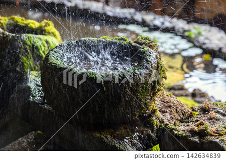 Moss-covered stone bowl and wet rocks sit at the edge of a pond Moss-covered stone bowl and wet rocks sit at the edge of a pond 142634839