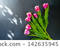 Pink tulips flowers. Floral bud. Tulip flower top view. Dark gray background copy space 142635945