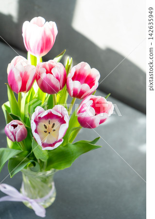 Pink tulips flowers. Floral bud. Tulip flower top view. Sun Light background. Pink tulips flowers. Floral bud. Tulip flower top view. Sun Light background. 142635949