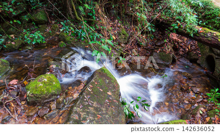 Cascading flowing water passing between moss covered rocks in a lush forest. Cascading flowing water passing between moss covered rocks in a lush forest. 142636052