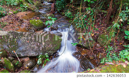 Bridal veil effect waterfall flowing over moss covered rocks in a tropical rainforest. Bridal veil effect waterfall flowing over moss covered rocks in a tropical rainforest. 142636053