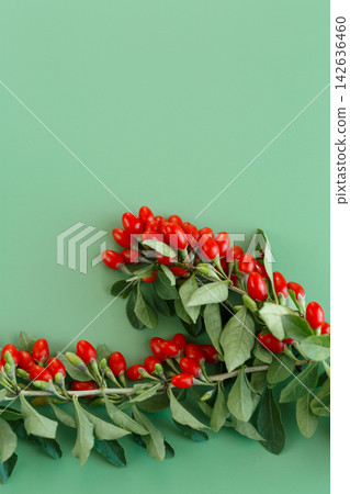 Ripe red goji berries with leaves on green background Ripe red goji berries with leaves on green background 142636460