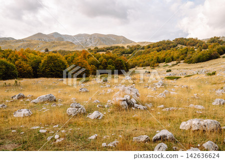 Picturesque mountain landscape with thick clouds above. Golden colors in mountain forest. Hiking. Picturesque mountain landscape with thick clouds above. Golden colors in mountain forest. Hiking. 142636624