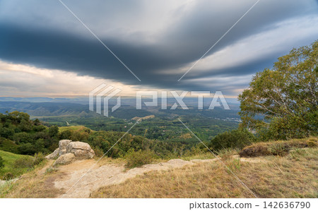 Summer Mountains Landscape with Green forest. 142636790