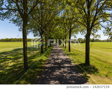 Eye level wide horizontal aerial drone photograph of tree-lined paved country road avenue, dappled light, green pastures, and wind turbine in rural Gelderland, Achterhoek, Netherlands on spring day Eye level wide horizontal aerial drone photograph of tree-lined paved country road avenue, dappled light, green pastures, and wind turbine in rural Gelderland, Achterhoek, Netherlands on spring day 142637159