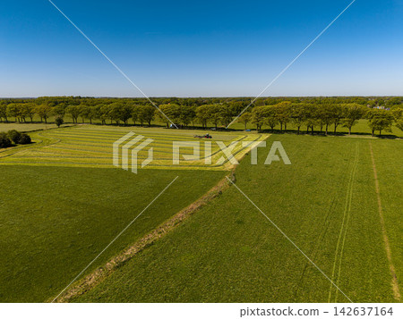 High angle wide horizontal aerial drone photograph of agricultural tractor raking mown hay into windrows, pastures, and tree line in rural Gelderland, Achterhoek, Netherlands on sunny spring day High angle wide horizontal aerial drone photograph of agricultural tractor raking mown hay into windrows, pastures, and tree line in rural Gelderland, Achterhoek, Netherlands on sunny spring day 142637164
